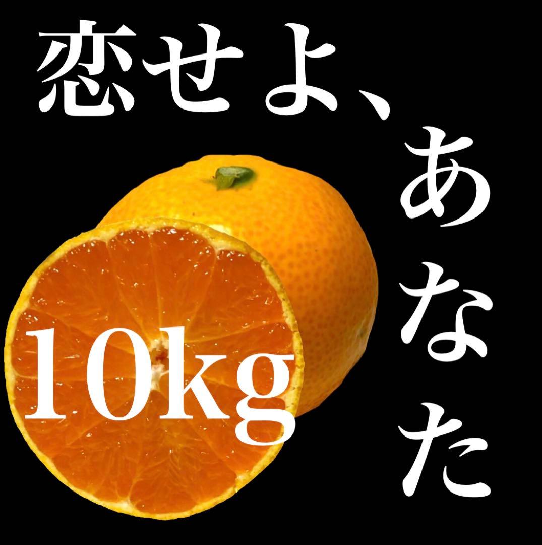 ▲10kg