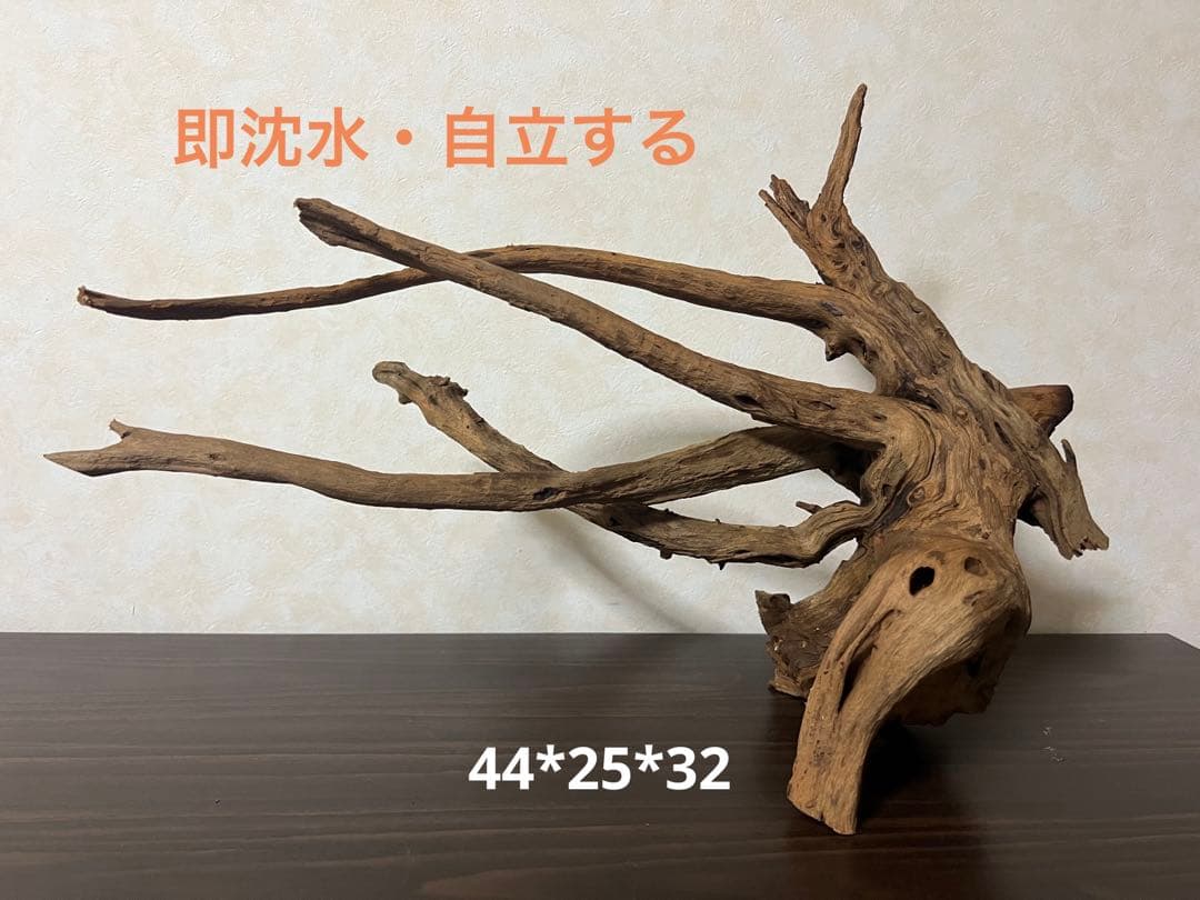 175 流木　ホーンウッド　マシンガンウッド　アクアリウム　ブランチウッド