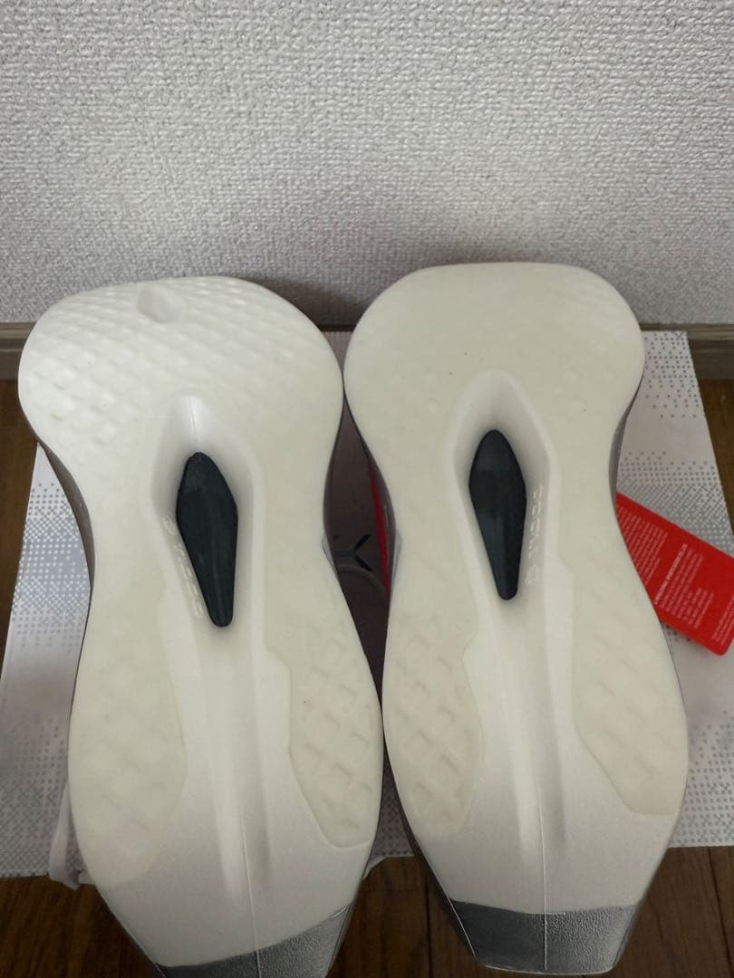 リーニン　FEIDIAN ELITE 6 24センチ