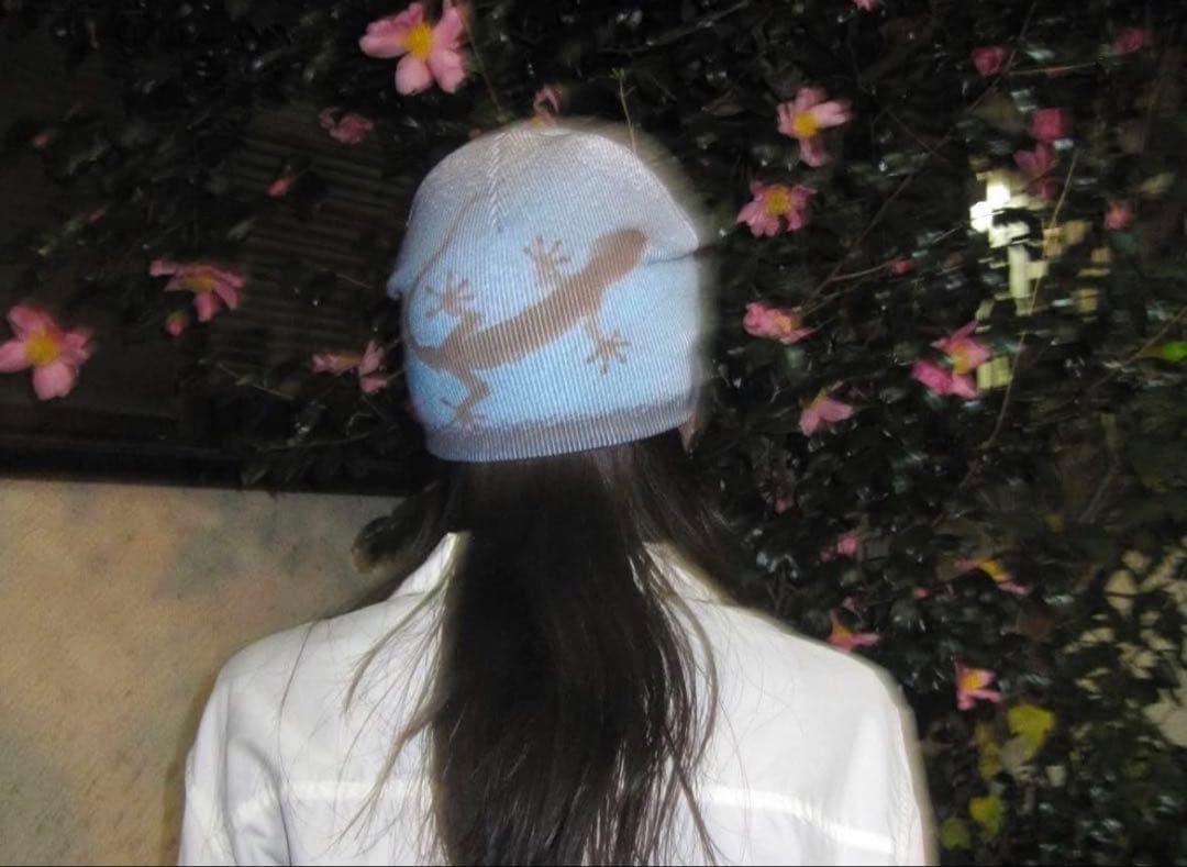 帽子 Shury Labyrins Picture Beanie