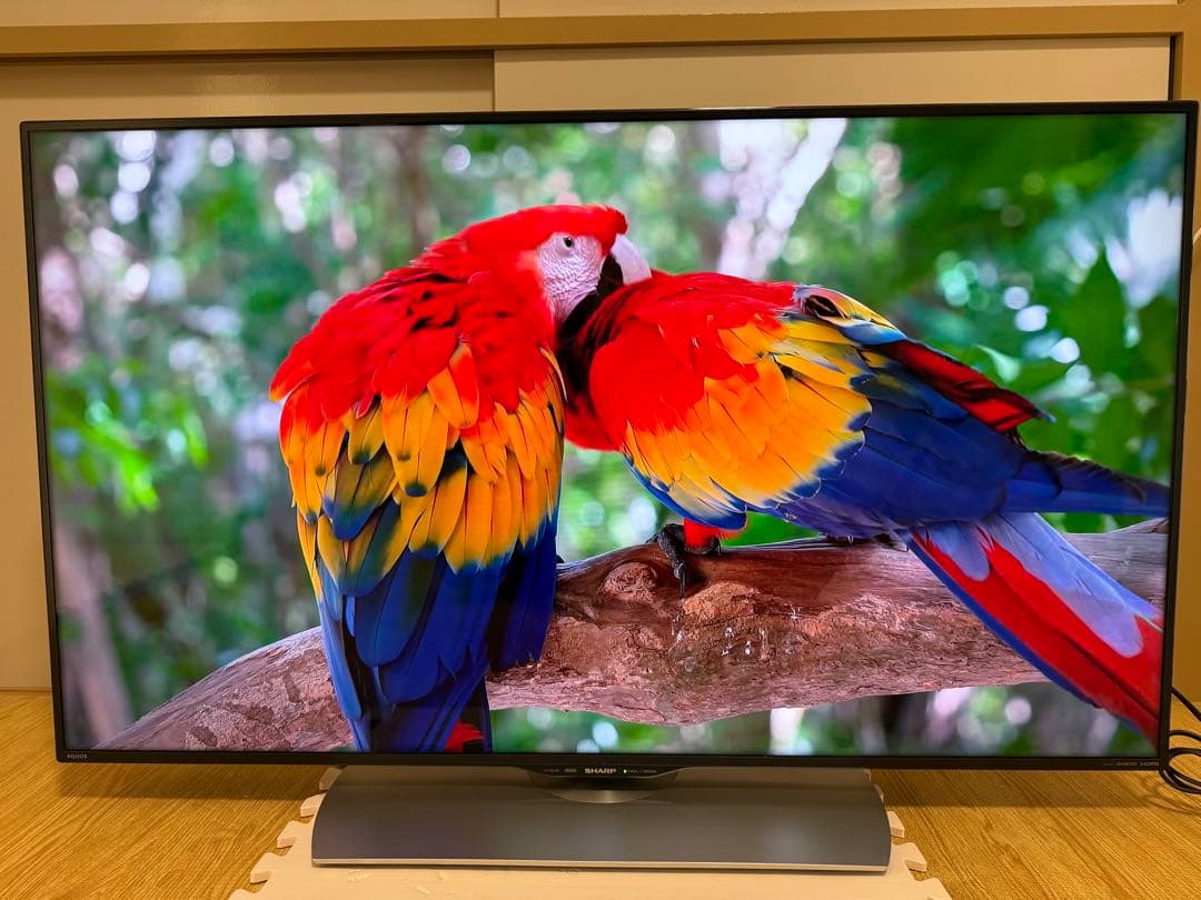 シャープ LC-50U40 50型 2016年製⭕️ 4K液晶ネットサ可能テレビ