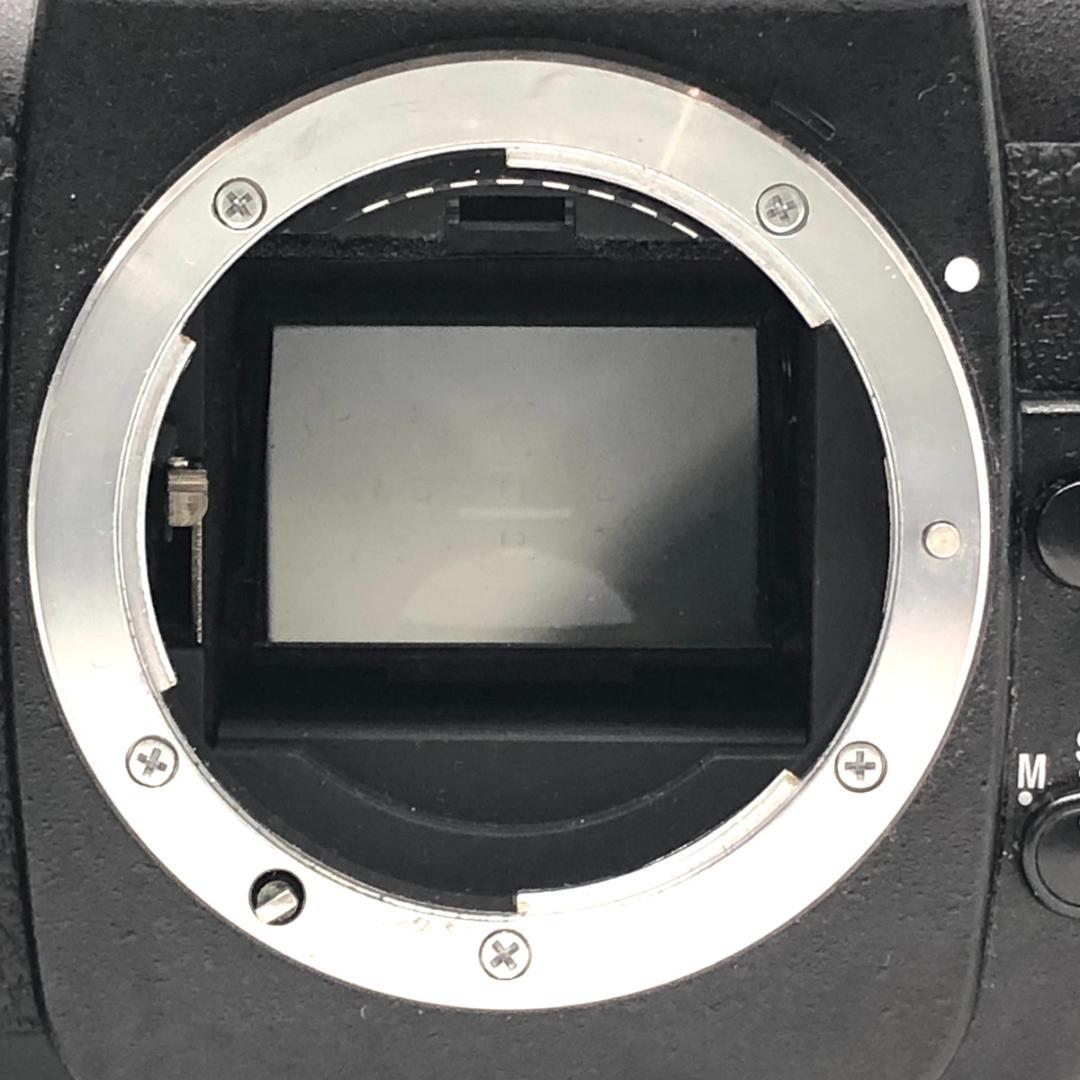 【C6766】NIKON ニコン F100 ボディのみ 一眼レフ フィルムカメラ