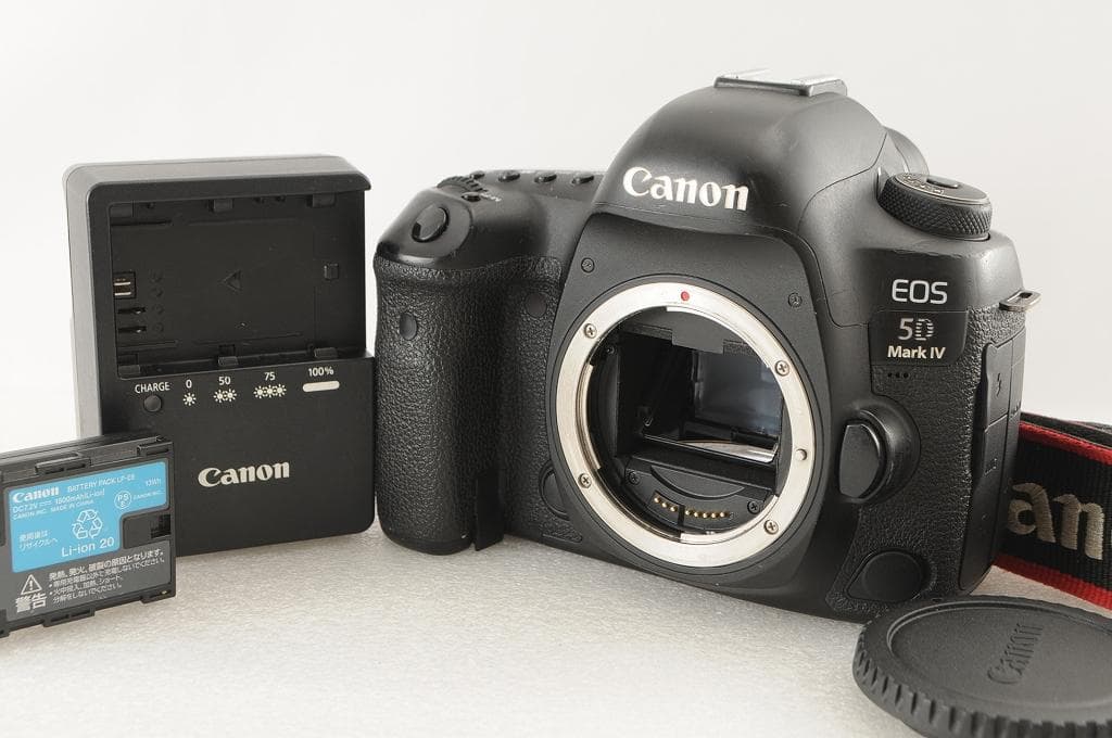 ★美品級★ Canon キヤノン 5D Mark Ⅳ