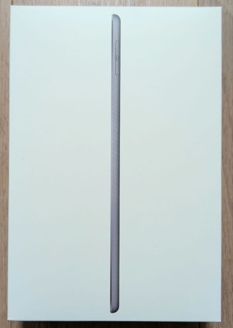 Apple iPad mini 5 256GB 充放電100回