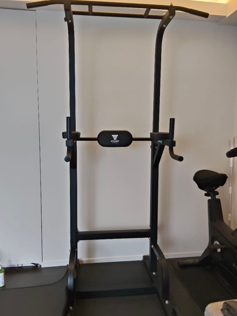 STEADY ぶら下がり健康器 ブラック