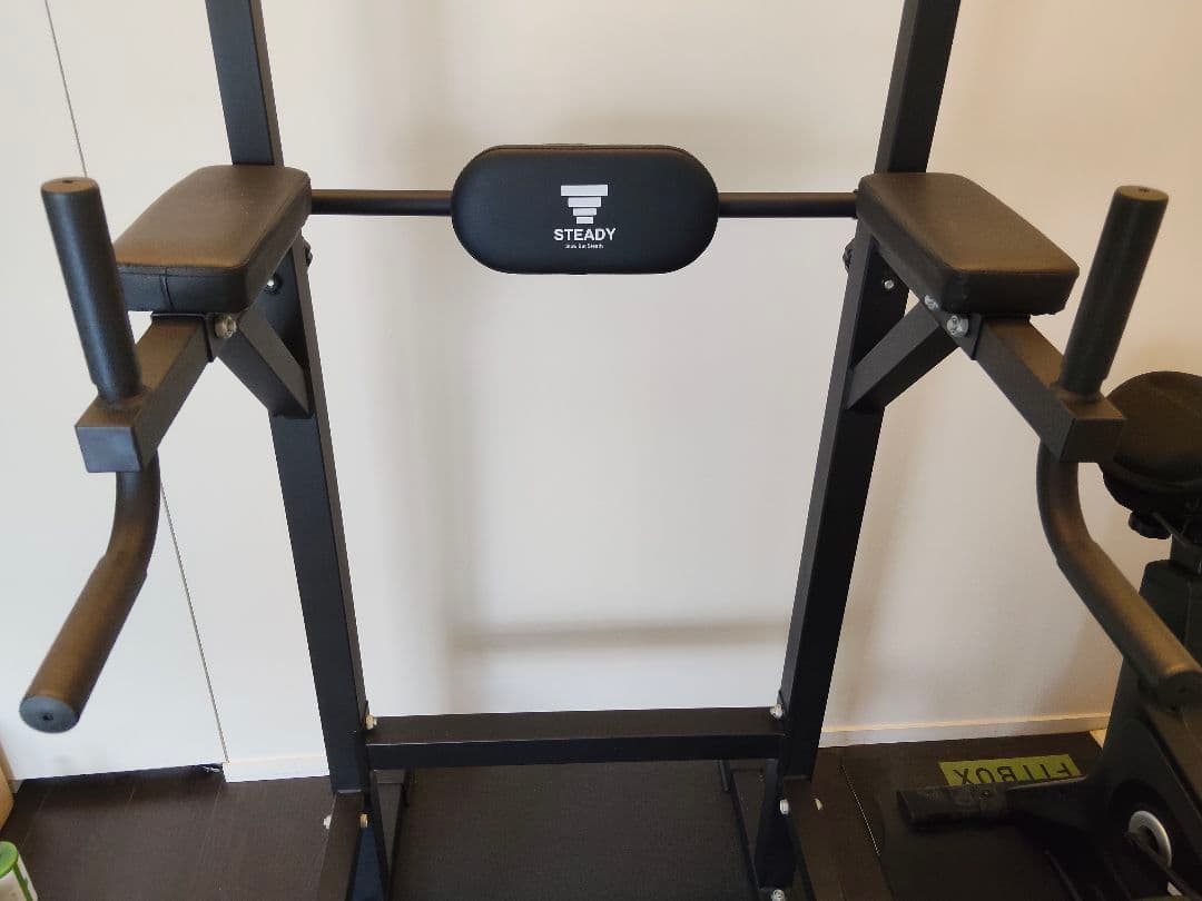 STEADY ぶら下がり健康器 ブラック
