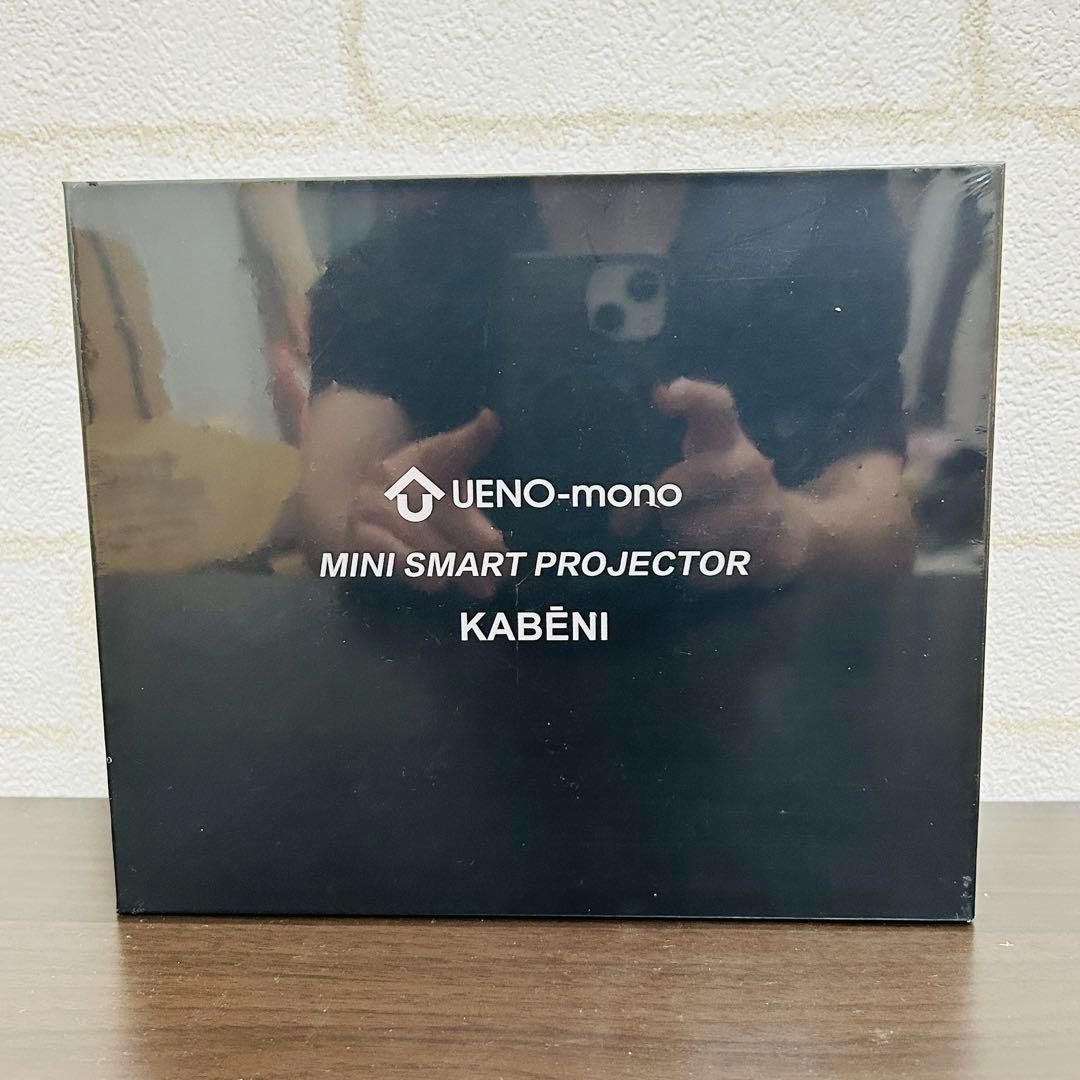 【未使用・新品】UENO-mono KABENI （カベーニ）T89AQ