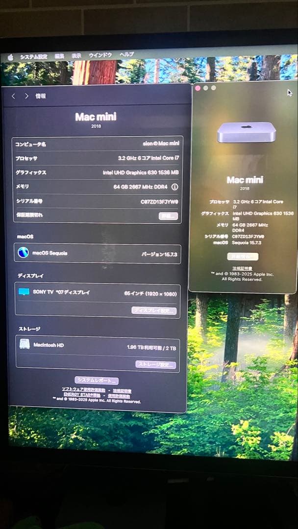 Macデスクトップ Apple Mac mini SSD 2TB