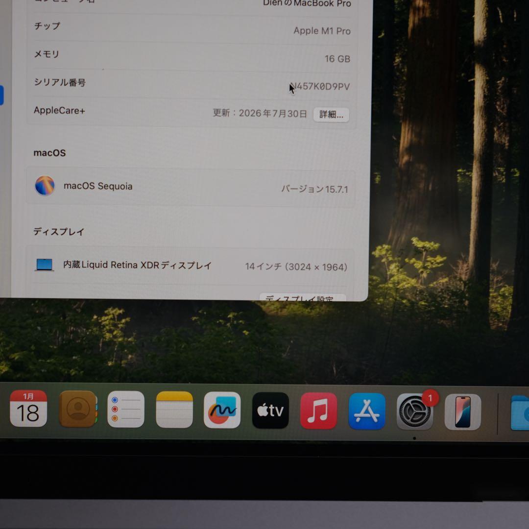 超美品　使用 MacBook Pro シルバー Apple Care 付き