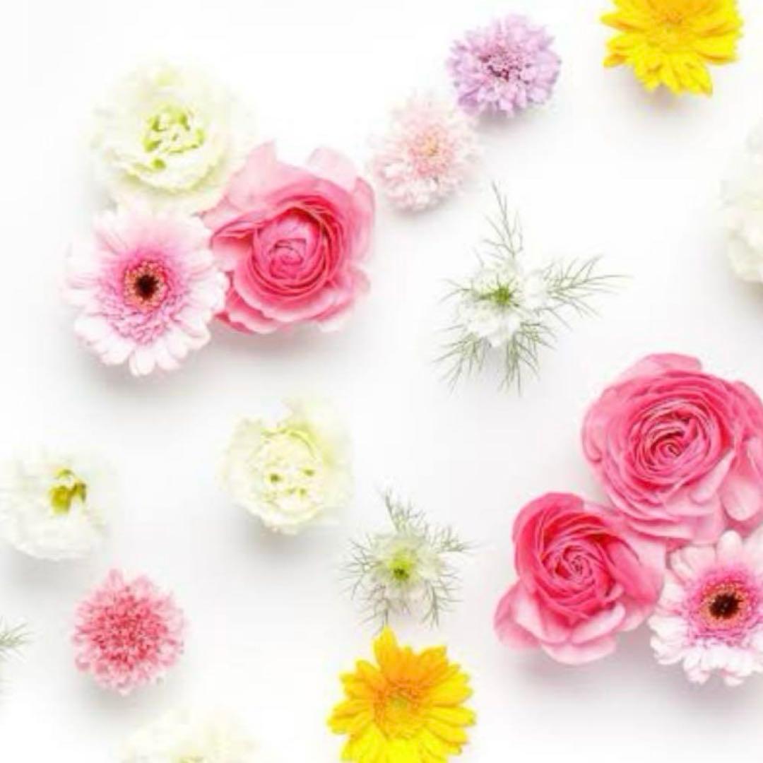 ひなmiさん専用