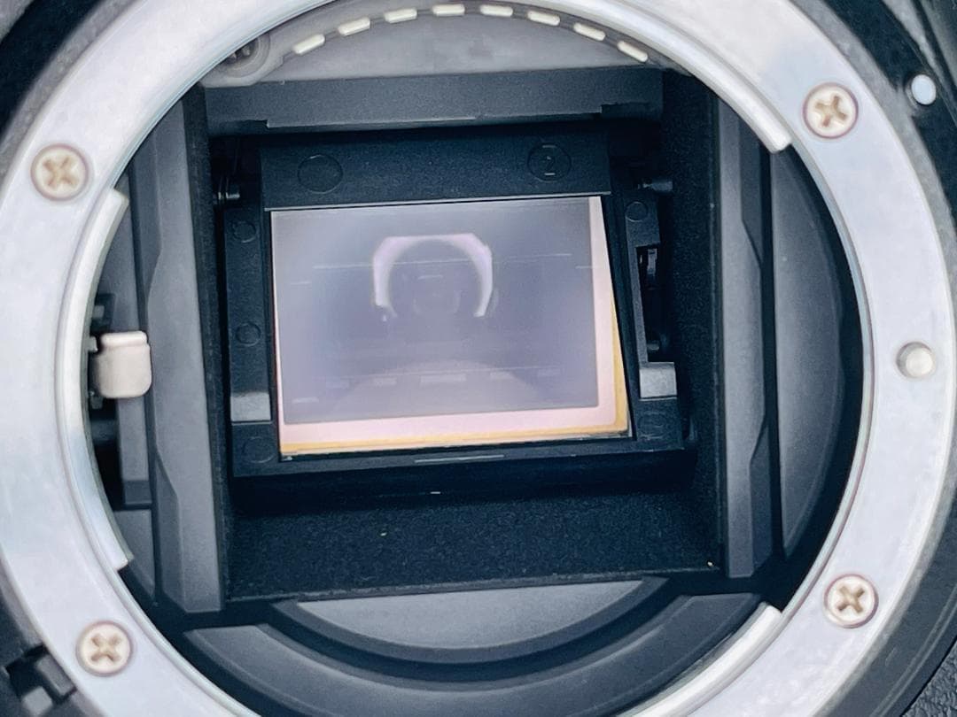 【ショット数2381回/ほぼ新品】Nikon D5600 ☆Wi-Fi内蔵 ☆