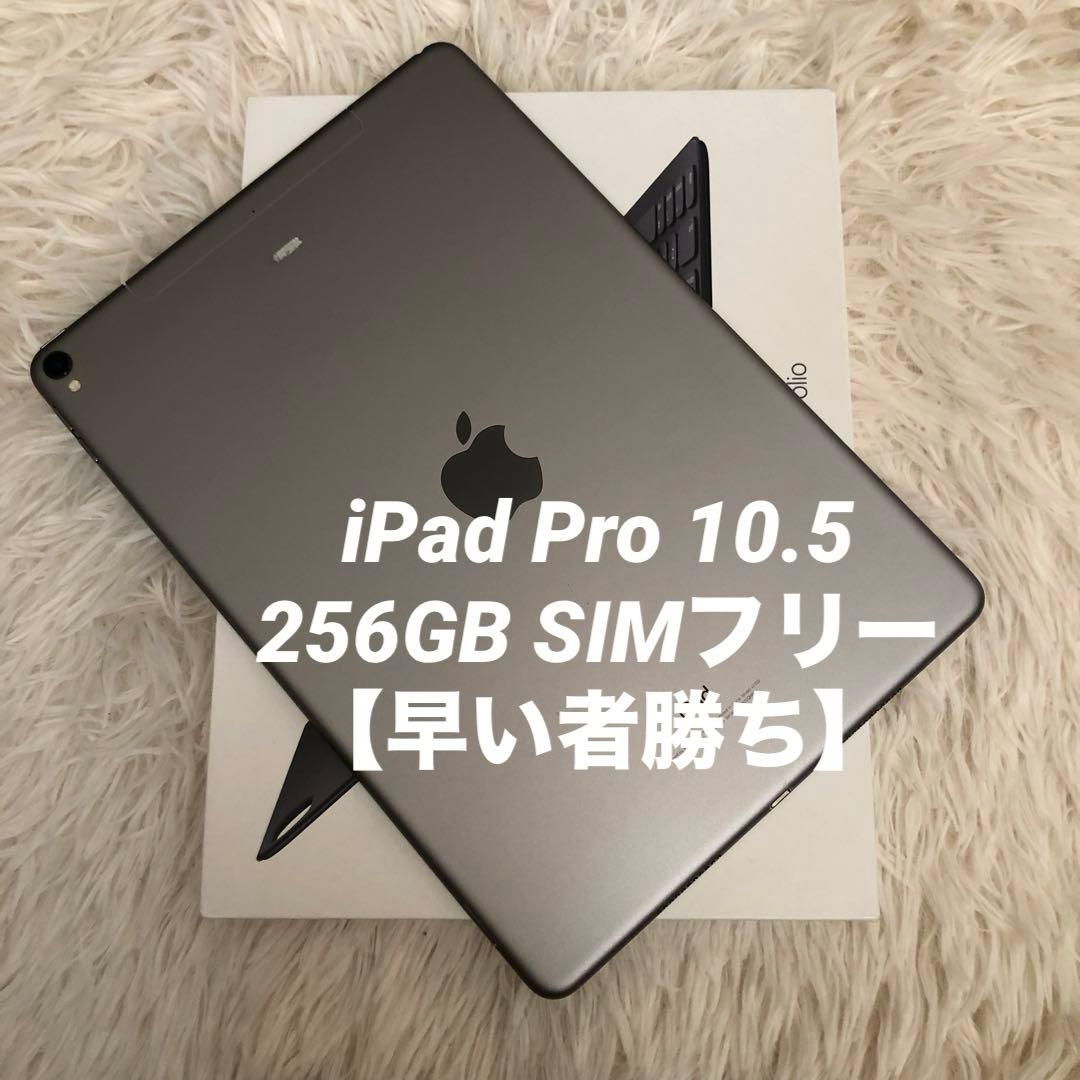 【完動品】iPad Pro 10.5 256GB Wi-Fi cellular