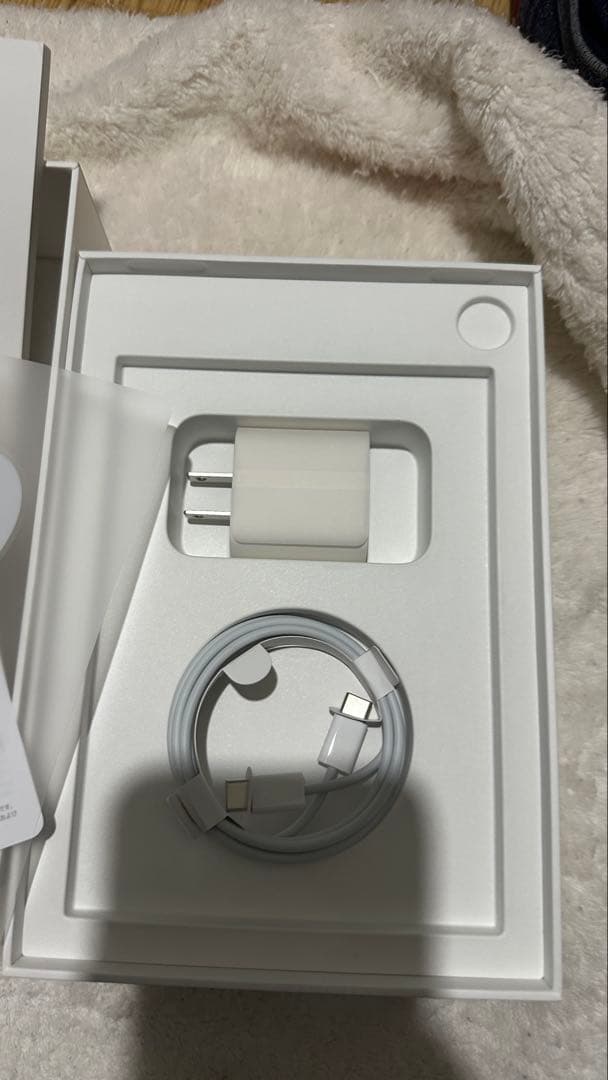 【完品・美品】iPad mini 6 64GB バッテリー90% Wi-Fi