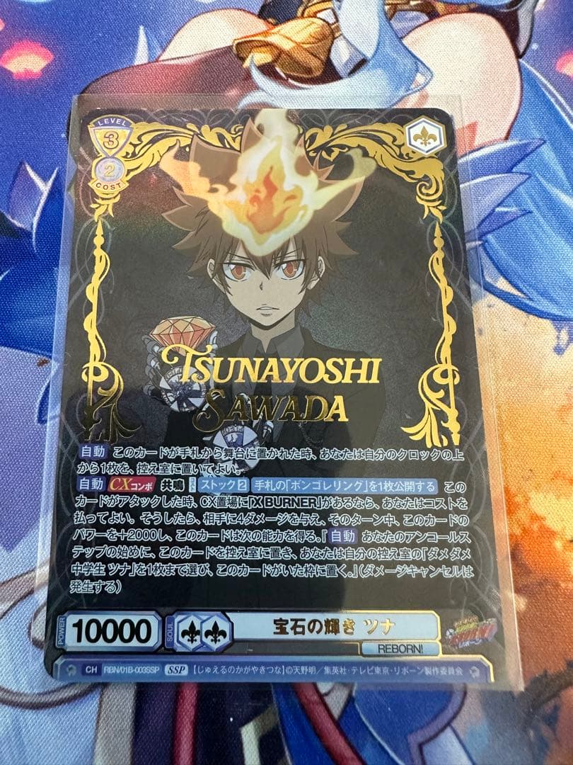 ヴァイスシュバルツブラウ　宝石の輝き ツナ　ssp リボーン