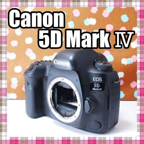 ✨超高性能✨ハイスペック機✨Canon 5D Mark Ⅳ