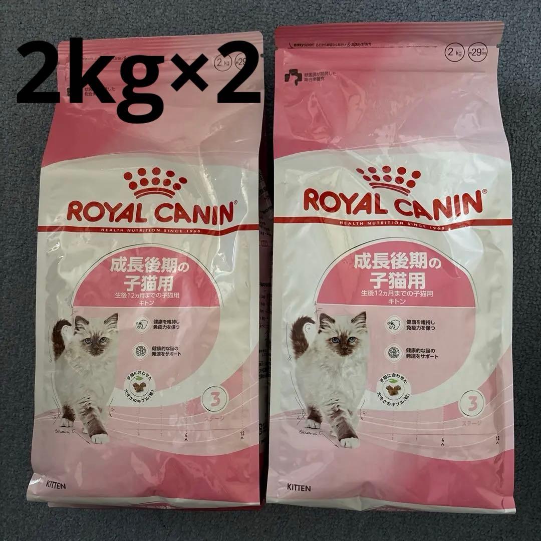 ロイヤルカナン　キトン　後期　2kg×2
