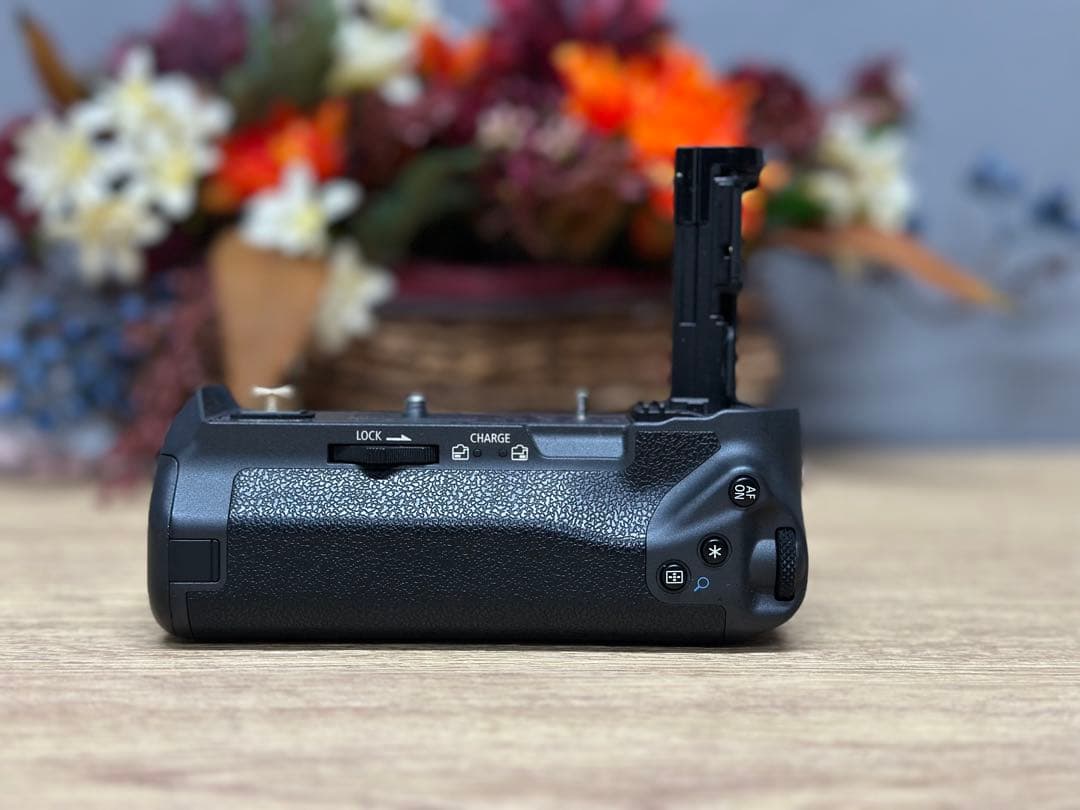 【付属品あり】Canon EOS R ミラーレス一眼カメラ