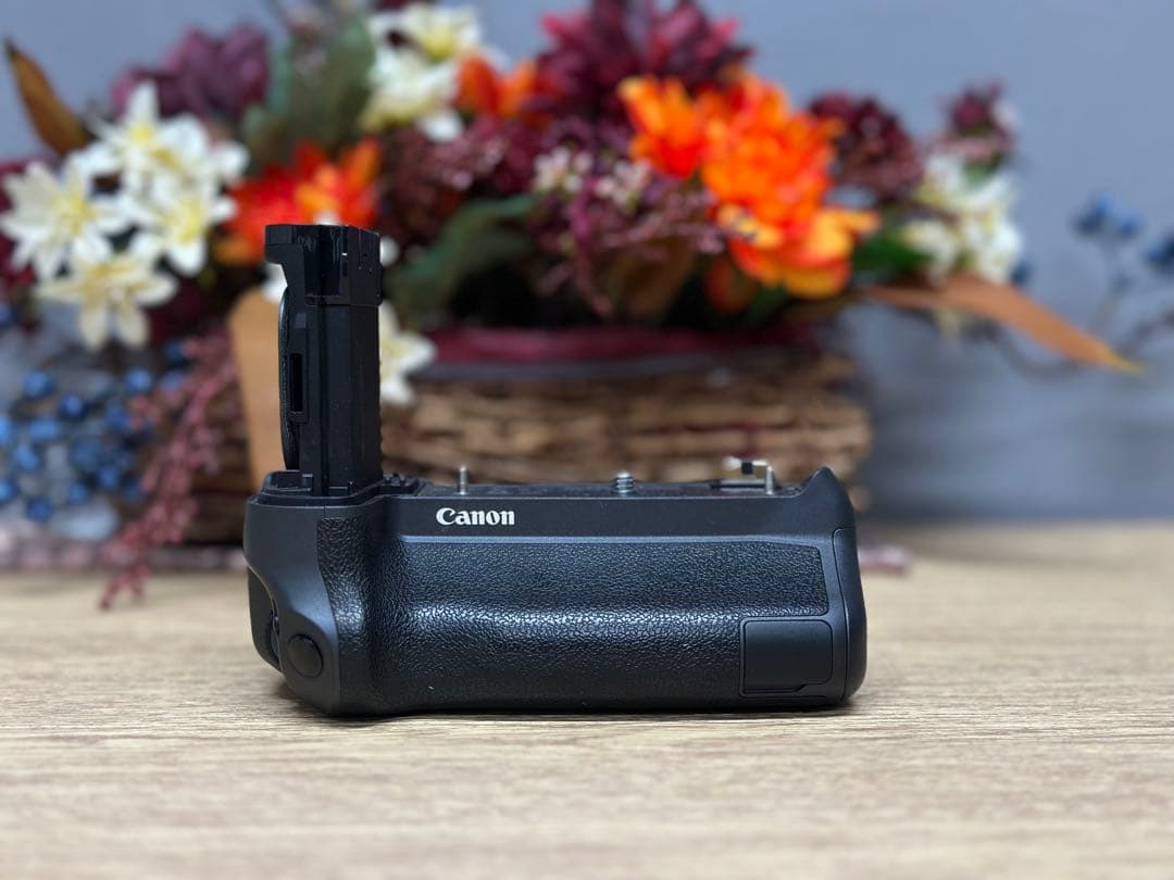 【付属品あり】Canon EOS R ミラーレス一眼カメラ