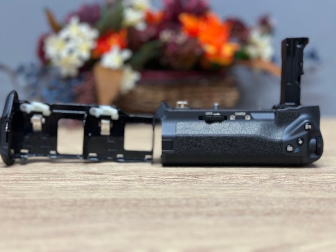 【付属品あり】Canon EOS R ミラーレス一眼カメラ