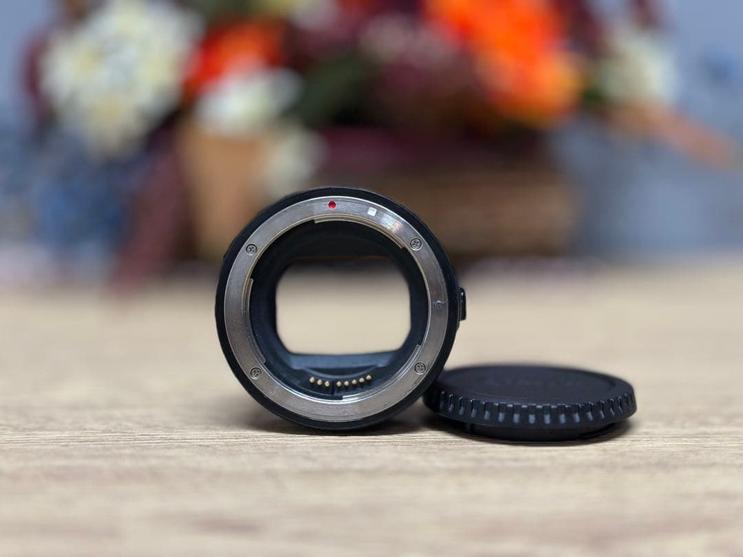 【付属品あり】Canon EOS R ミラーレス一眼カメラ