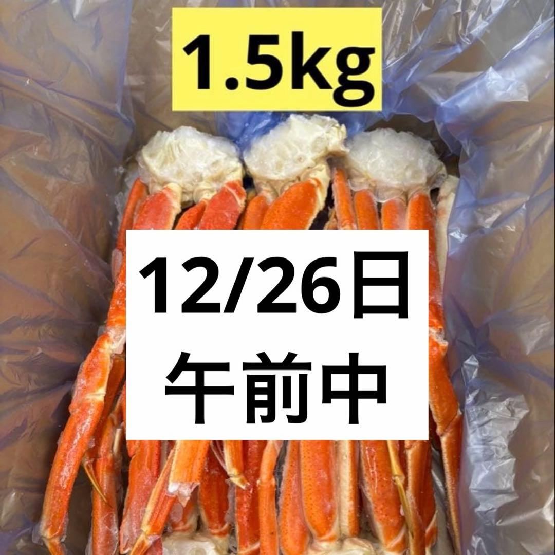 【12/26日午前中到着希望】ちゅん 1.5kg