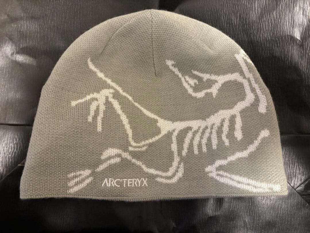 帽子 ARC'TERYX Bird Head Toque Habiat/Atmos