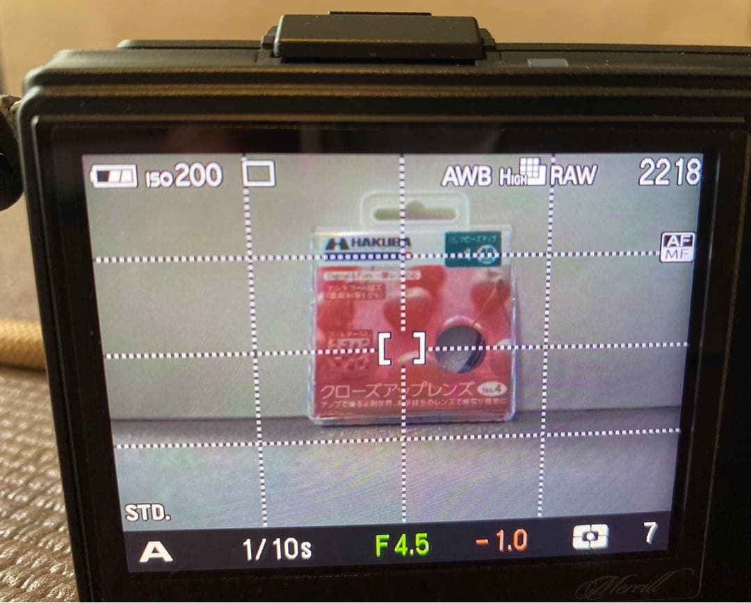 SIGMA DP2 Merrillコンパクトデジタルカメラ セット動作確認済
