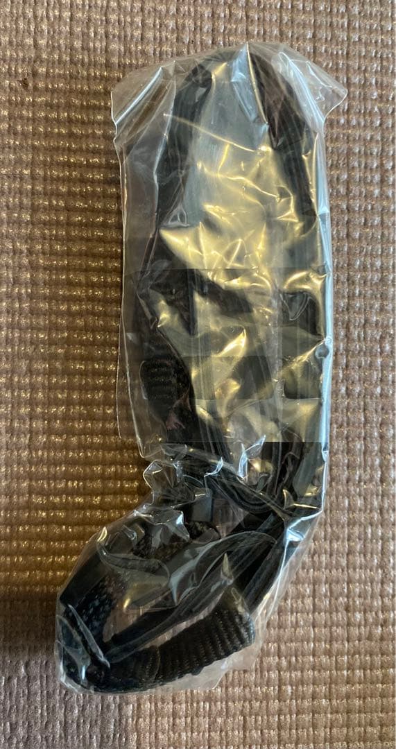 SIGMA DP2 Merrillコンパクトデジタルカメラ セット動作確認済