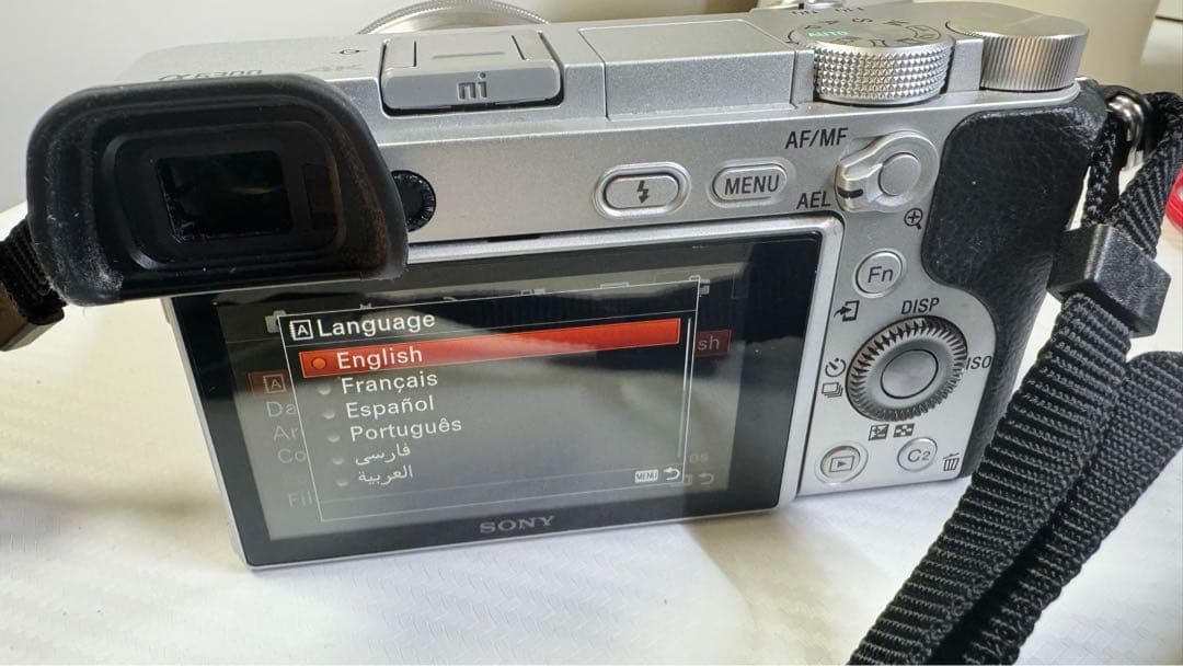 SONY α6300 ILCE-6300 海外モデル シャッター数958回