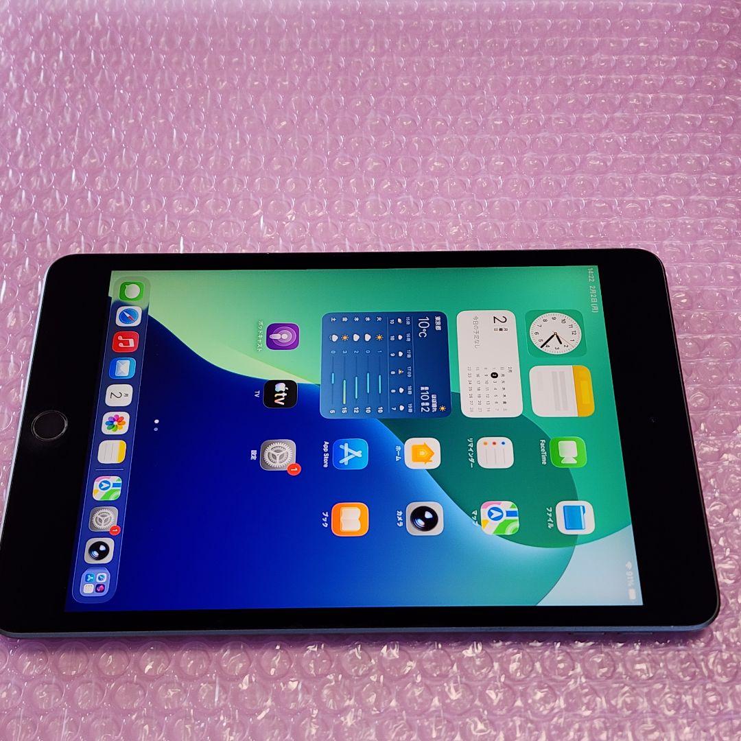 美品　Apple iPad mini　第5世代　バッテリー良好　Wi-Fiモデル