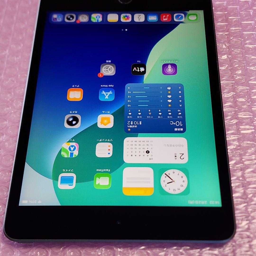 美品　Apple iPad mini　第5世代　バッテリー良好　Wi-Fiモデル