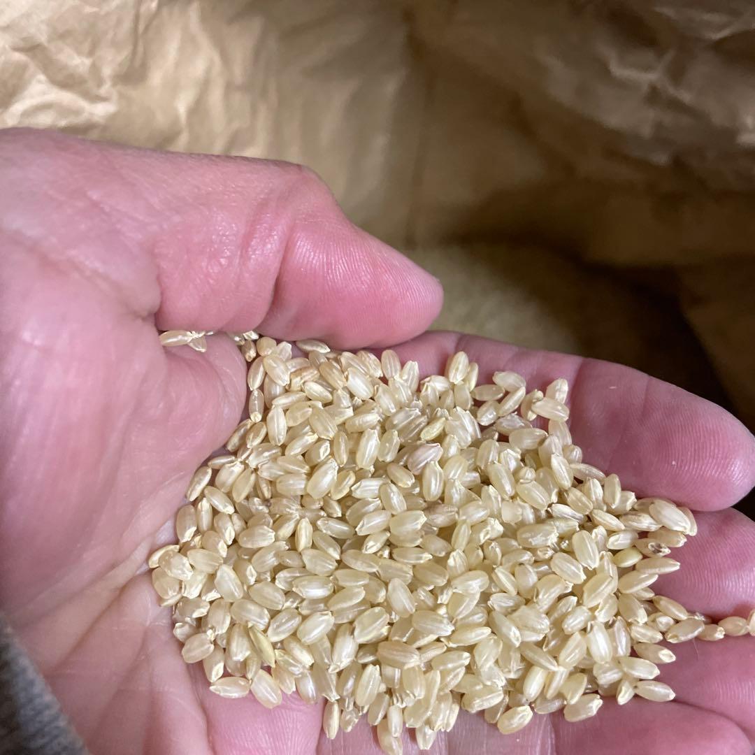 令和6年宮崎県産ヒノヒカリ 玄米20kg