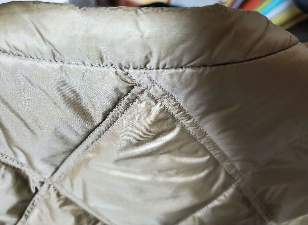 タグ付きTATRAS ベージュ キルティングダウンベスト