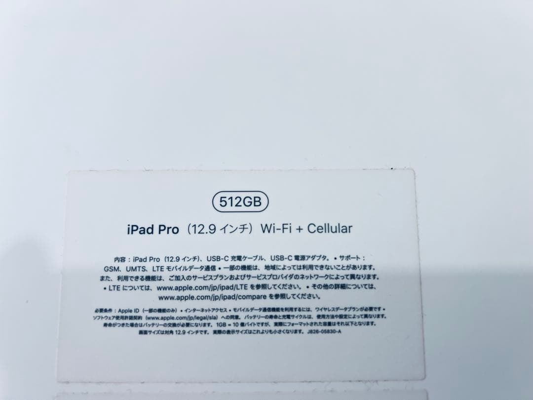 iPad本体 iPad Pro2018+pencil