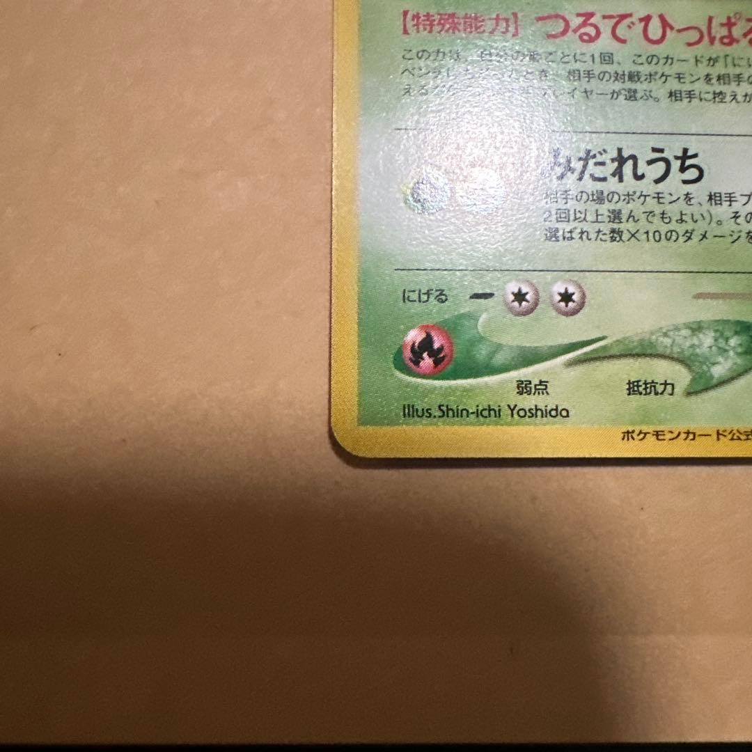 ポケモンカード 旧裏 わるいフシギバナ わるいフシギソウ プロモ