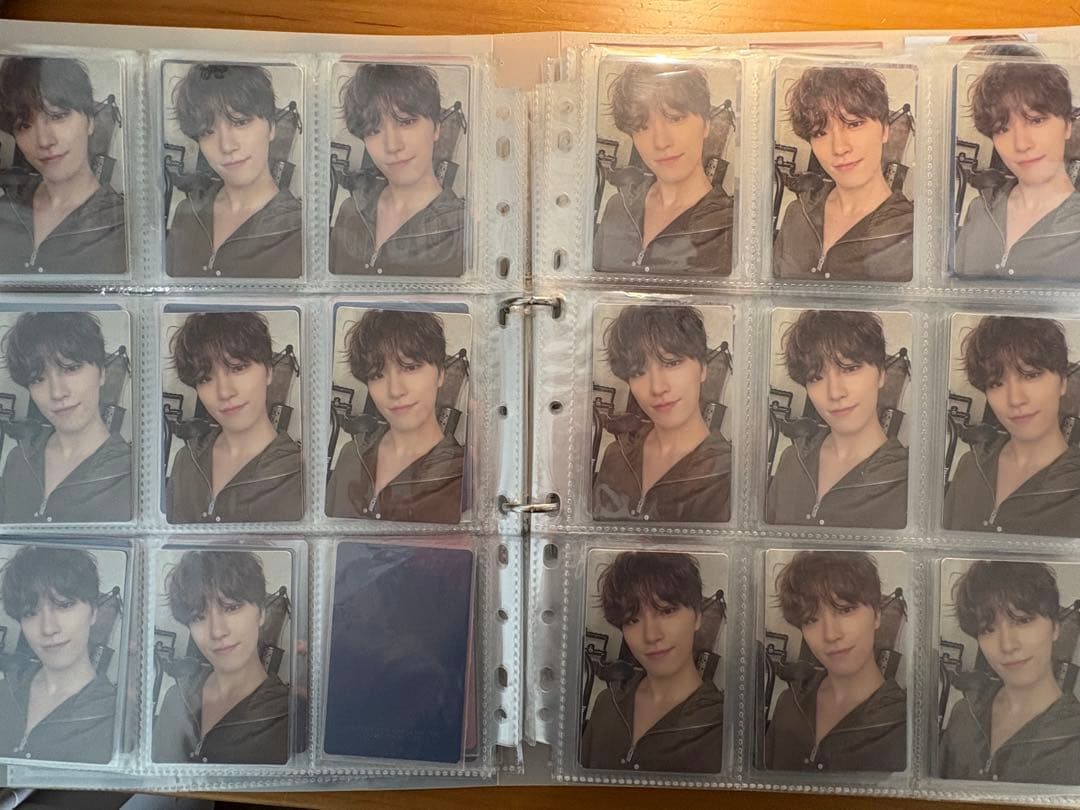 セブチ　ディノ　トレカ　まとめ売り