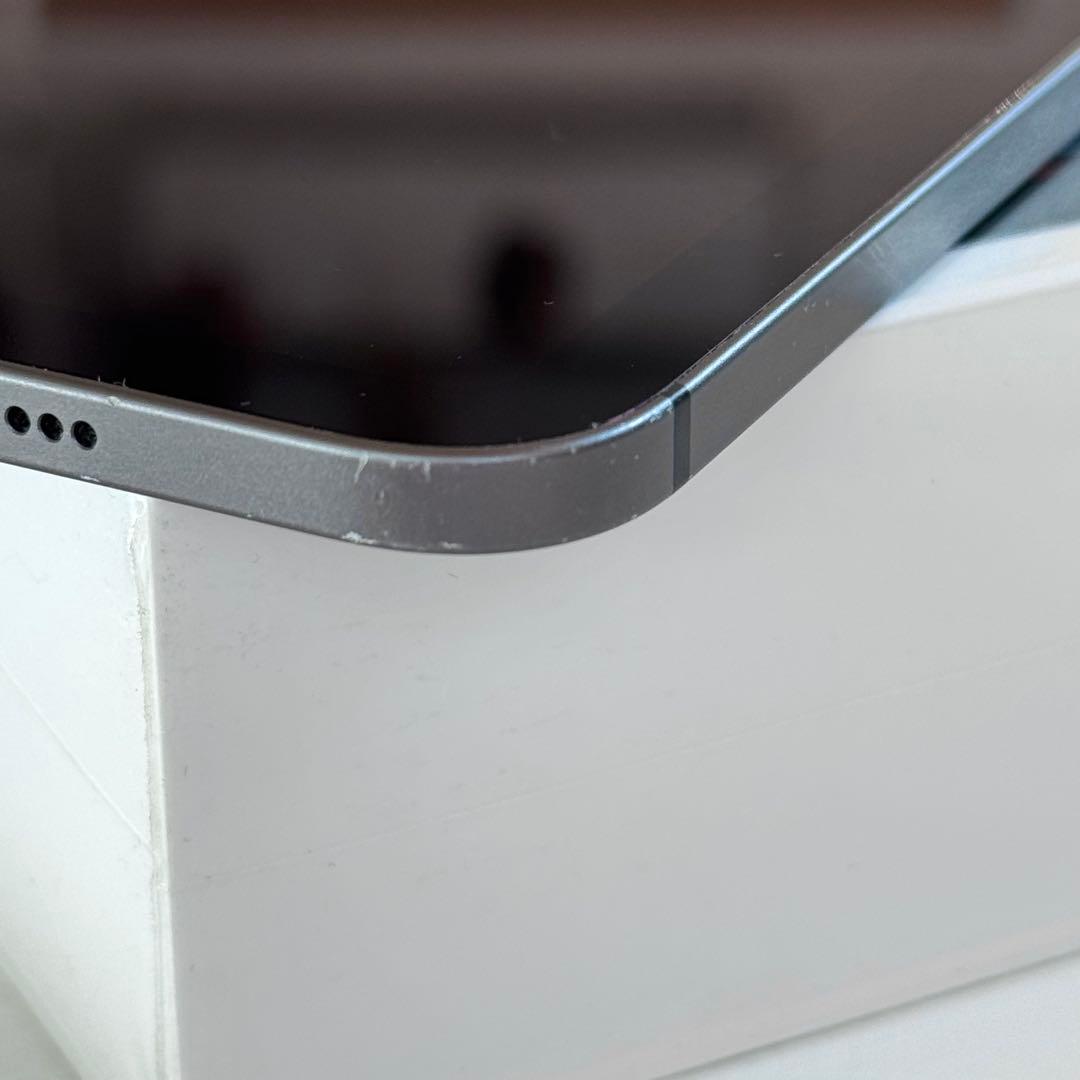 iPad Pro 12.9 inch (3rd) Cellular＋オマケ