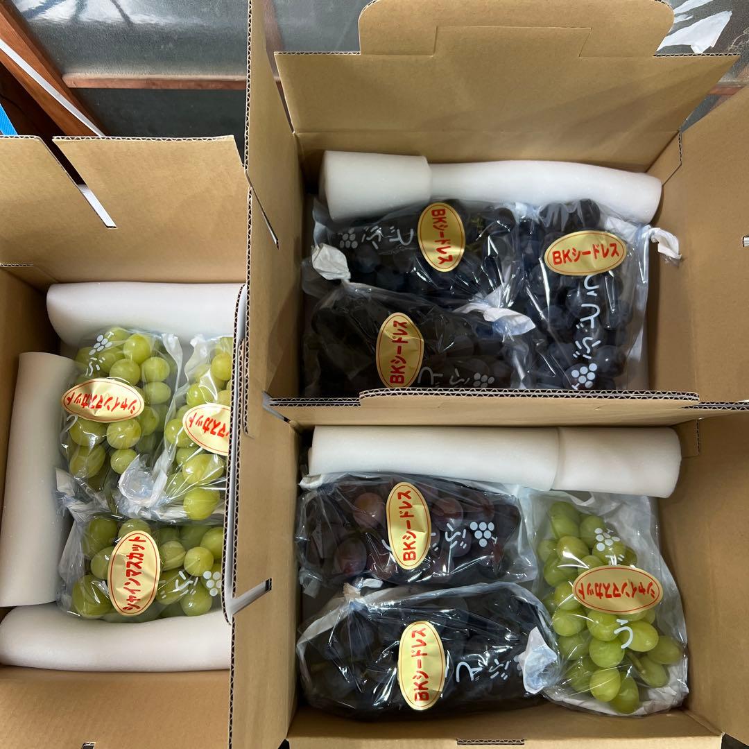 みゃーこシャインマスカット4房BKシードレス5房家庭用送料チルド込み