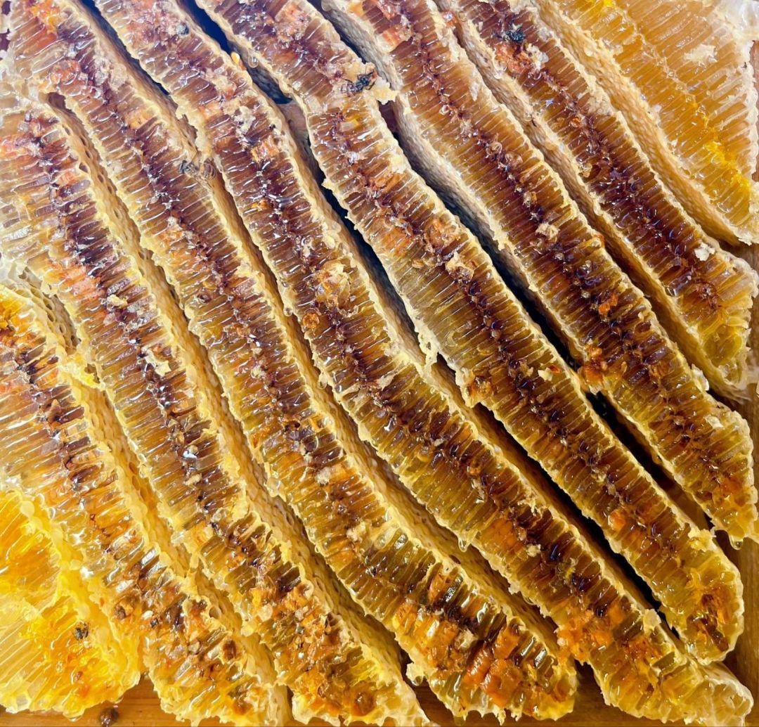 熟成1・2年フレッシュ日本蜜蜂はちみつ(Y1Y2)(S2Y1)(S3Y0)セット