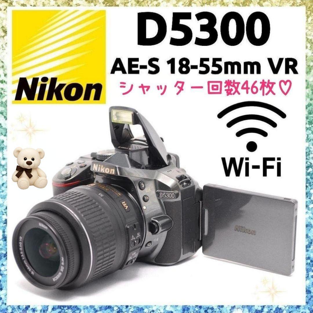 ❤即購入1000円OFF❤ Nikon D5300 シャッター46枚 グレー