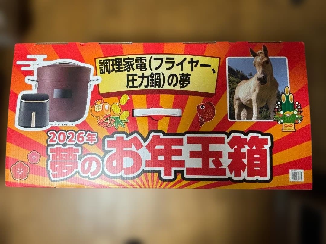 [値下げ]ヨドバシカメラ夢のお年玉 調理家電 (フライヤー、圧力鍋)セット