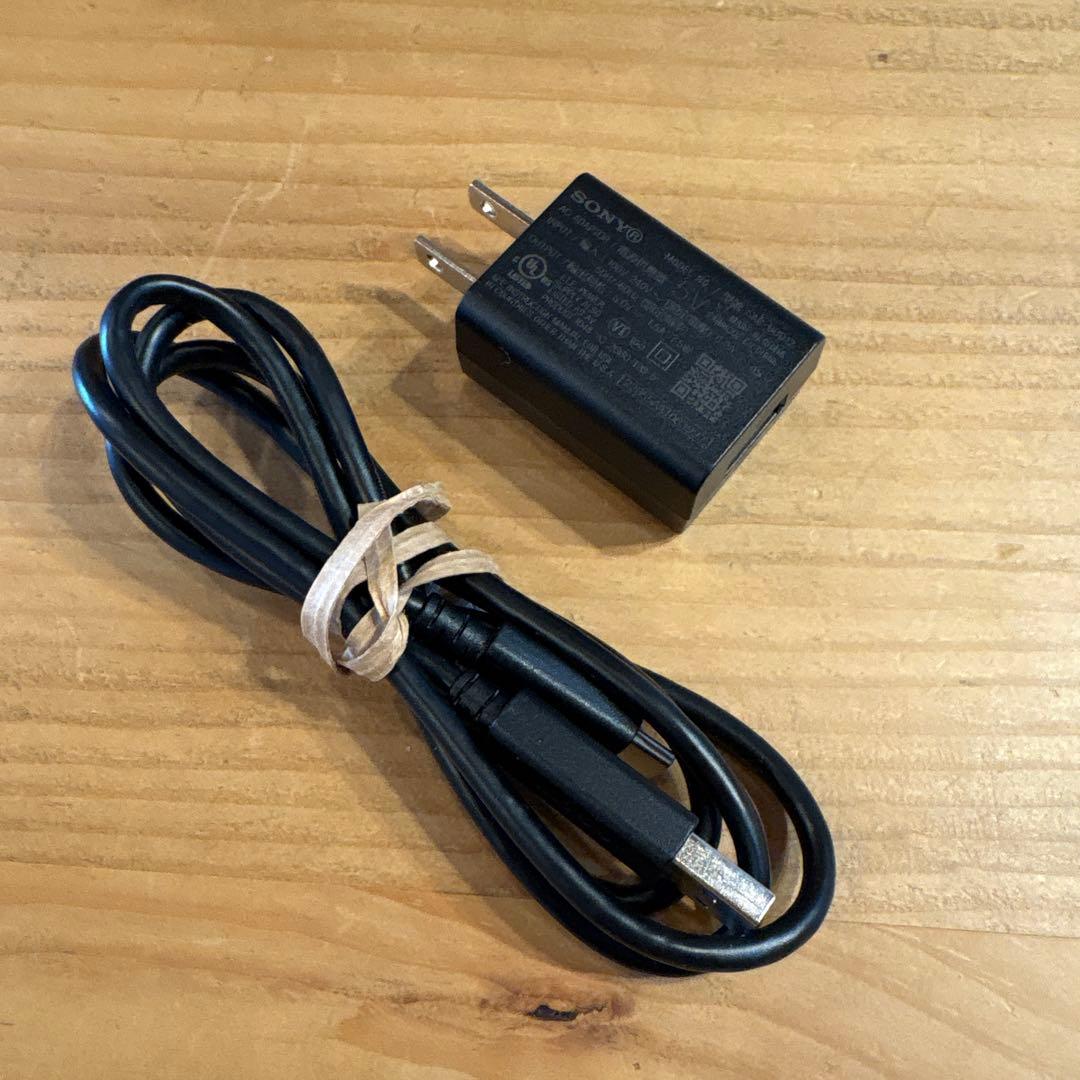 SONY FX30 ミラーレスカメラ バッテリー2個　その他