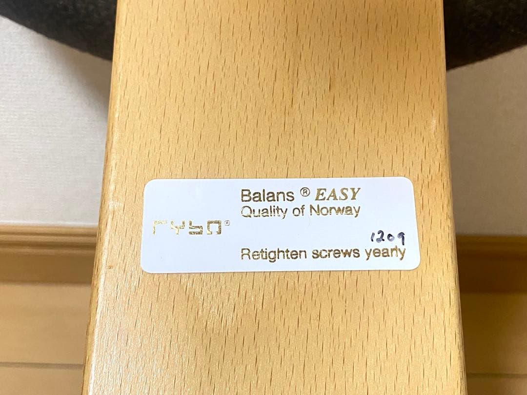 バランスラボ バランスチェア バランスイージー 姿勢矯正