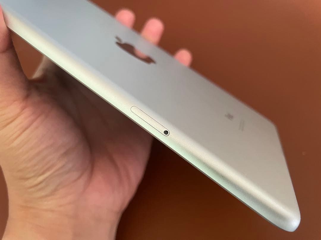 Apple iPad mini 第５世代 シルバー wi-fi/cellular