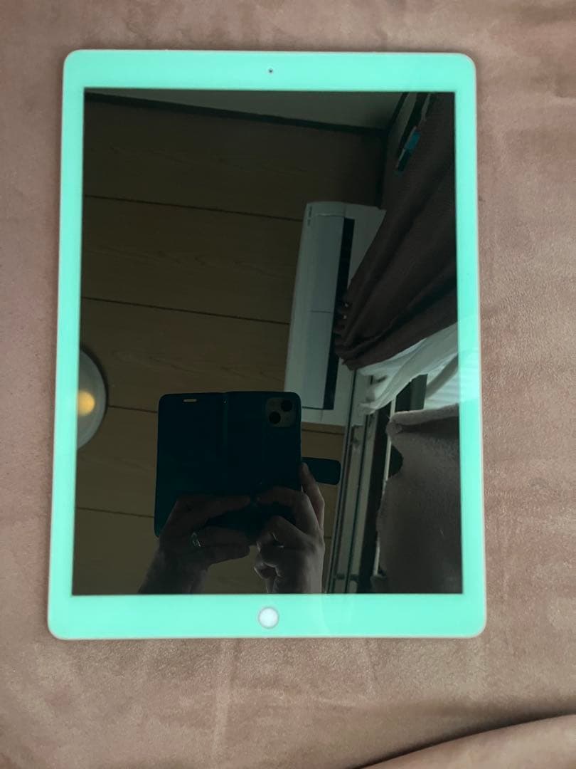 iPad pro 12.9インチ 第2世代 256GB セルラーモデル