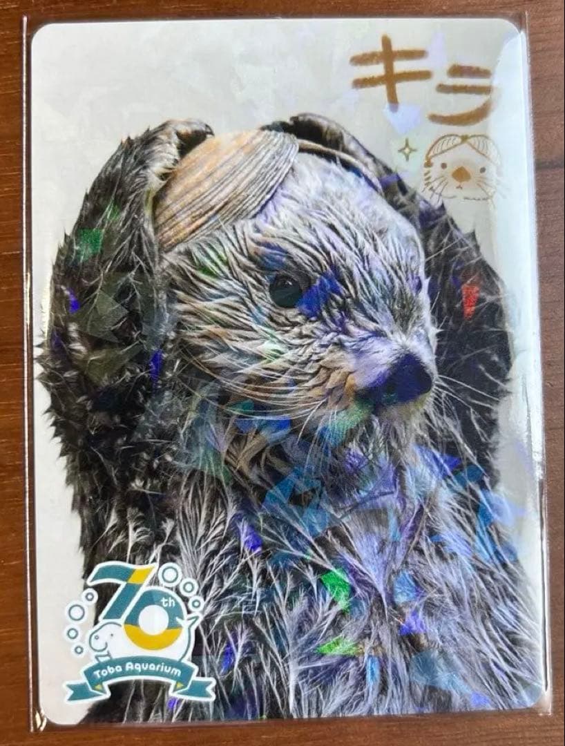 ハ*〉様 キラ レアカード 鳥羽水族館 70周年コレクションカード