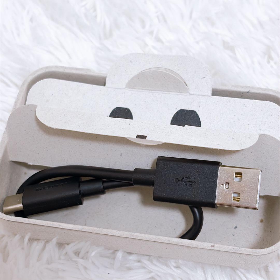 SONY WF-1000XM4 ワイヤレスイヤホン ブラック