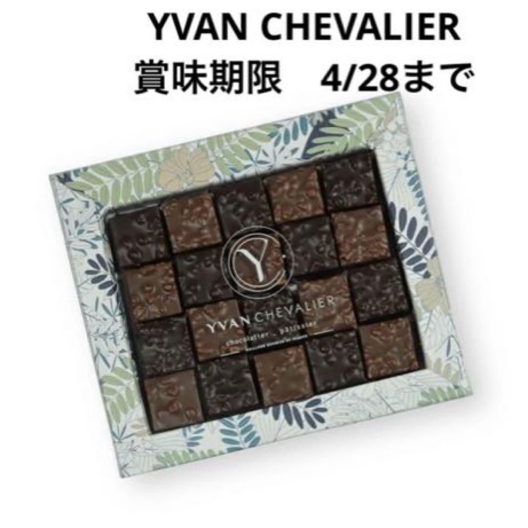 イヴァンシュヴァリエ　ロシェ YVAN CHEVALIER