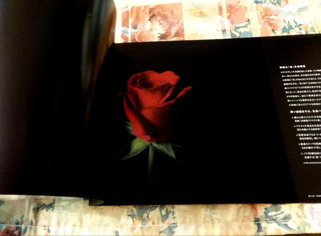 パイオニア　Pioneer KURO BDR-WD900,700 純正リモコン他