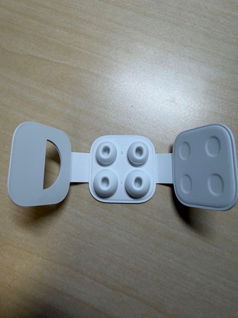 AirPods Pro 第一世代　本体一式